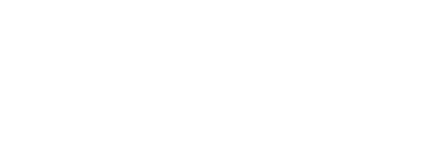 SALVUZ Logo